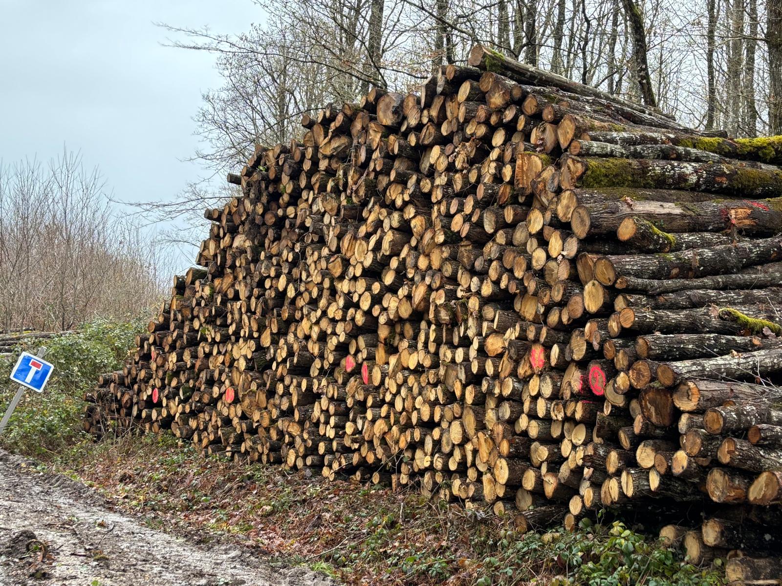 Transport de bois - Bois Gestion