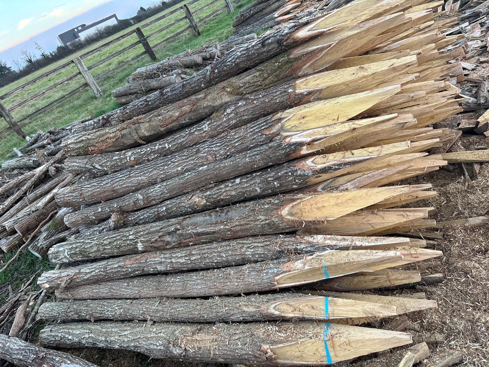 Valorisation chêne - Bois Gestion