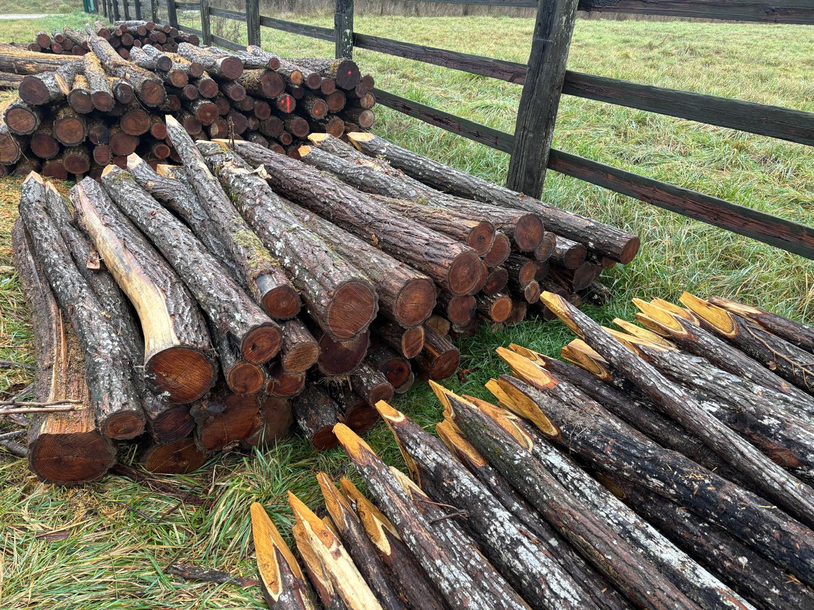 Stock bois de chauffage